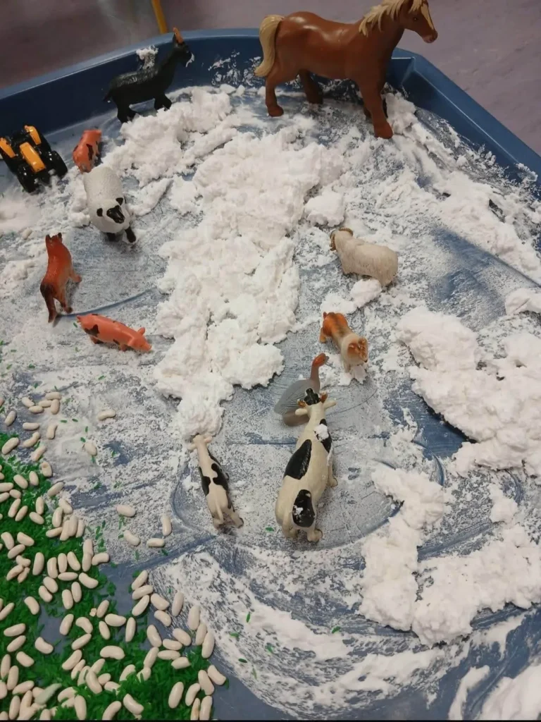 Wonder Years Preschool and Afterschool Claregalway8